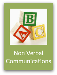 non verbal communication