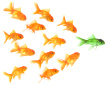 expanding leadership