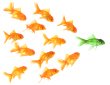 expanding leadership