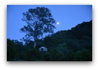 yurt by night