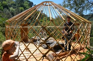 Yurt pitching 6